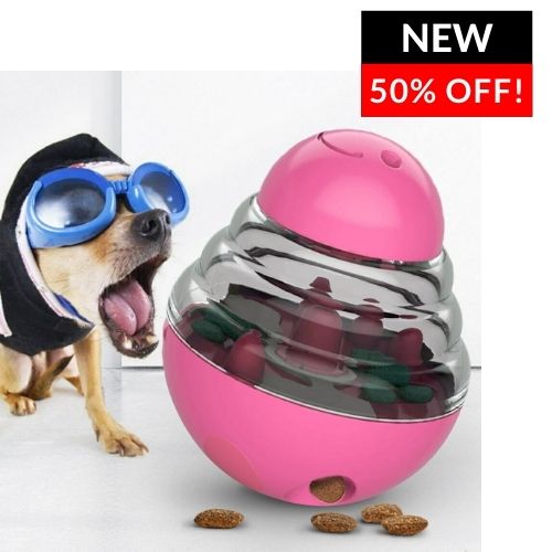 IQ Dog Treat Ball KanineCare®