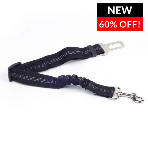 Anti shock hot sale dog seat belt